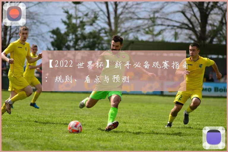 【2022 世界杯】新手必备观赛指南：规则、看点与预测