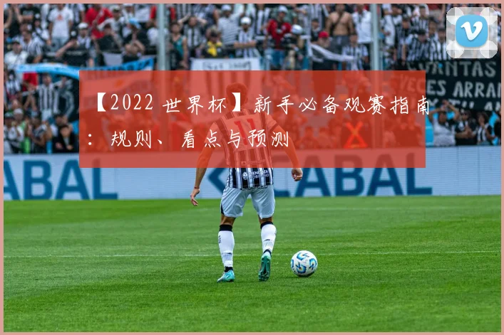 【2022 世界杯】新手必备观赛指南：规则、看点与预测